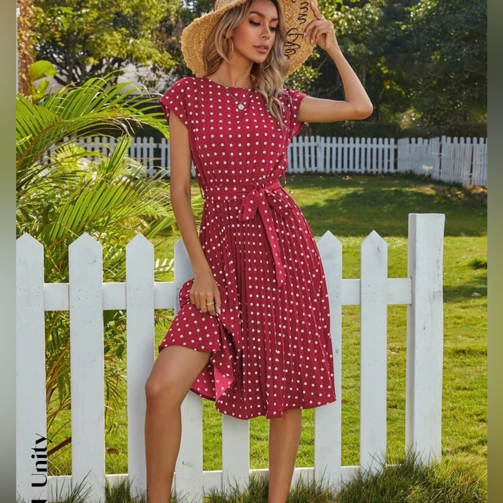 Shein Polka Dot A-Line Dress